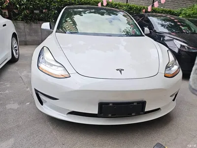2019 Tesla Model 3 (Import) Long Range All-Wheel Drive Edition, фото 3, лот 10369424