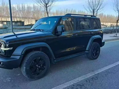 2021 Tank 300 Off-road Version 2.0T Conqueror, фото 1, лот 10345466