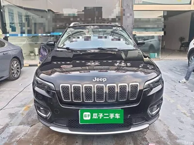 2019 Jeep Cherokee 2.0T 4WD Adventure Edition China VI, фото 3, лот 10390425