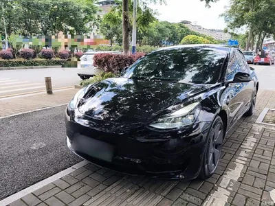 2022 Tesla Model 3 Model Rear-Wheel Drive Version, фото 2, лот 10370536