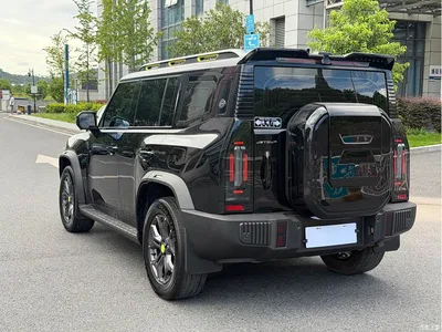 2023 Jetour Traveler Model 2.0T 4WD Cross PRO, фото 4, лот 10428429