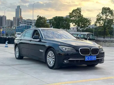 2009 BMW 7 Series 750Li Luxury, фото 4, лот 10458621