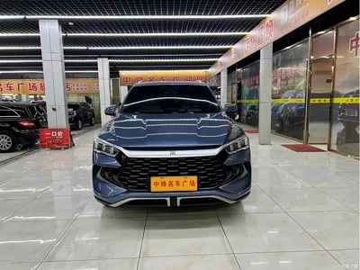 2024 BYD Song Pro New Energy Glory Edition DM-i 71KM Pilot, фото 2, лот 10274766