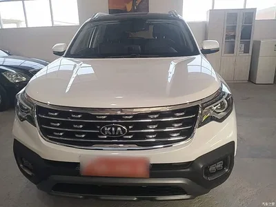 2019 Kia Sportage 2.0L Automatic Smart Luxury Edition, фото 3, лот 10893759