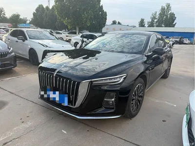 2025 Hongqi H5 2.0T Automatic Flag Celebration 500,000 Units Anniversary Edition, фото 1, лот 10287734