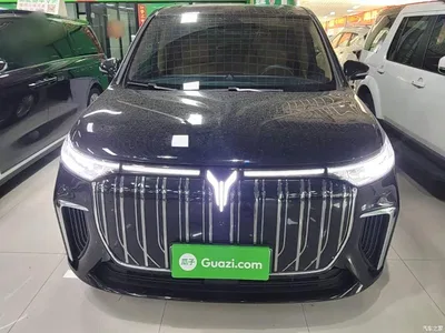 2024 Voyah Auto Voyah Dreamer EV Long Range Excellence Edition, фото 3, лот 10350256