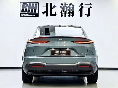2024 Ledao L60 60kWh Rear-Wheel Drive, фото 4, лот 11073873