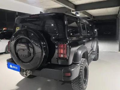 2021 Tank 300 Off-road Version 2.0T Conqueror, фото 3, лот 10396807