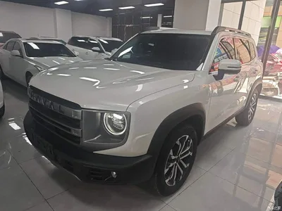 2024 Haval Big Dog 1.5T DCT Border Collie Edition, фото 1, лот 10361295