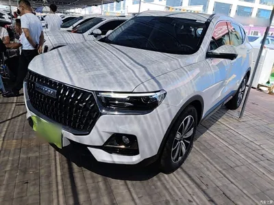 2023 Haval H6 National Trend Edition 1.5T Automatic Champion, фото 1, лот 10284202
