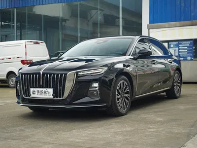 2024 Hongqi H5 2.0T Automatic Smart Connect Flag Smooth Edition, фото 1, лот 10287049