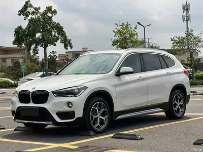 2019 BMW X1 xDrive20Li Premium Model, фото 1, лот 10467537