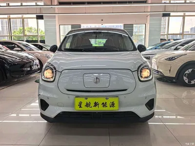 2021 Leapmotor T03 400 Luxury Edition, фото 2, лот 10316698