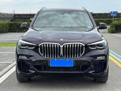 2022 BMW X5 (Import) xDrive40i M Sport Package, фото 2, лот 10431540