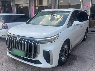 2022 Voyah Auto Voyah Dreamer Low-carbon Dream+Smart Package, фото 1, лот 10358002
