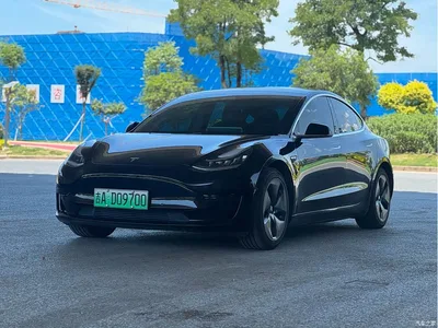 2020 Tesla Model 3 Standard Range Rear-Wheel Drive Upgrade, фото 1, лот 10351751
