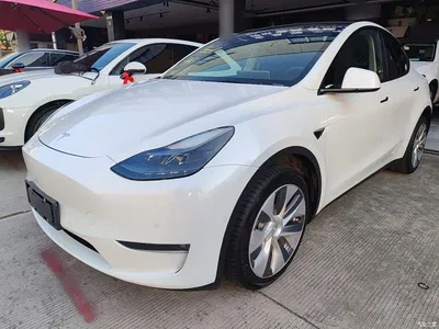 2021 Tesla Model Y Standard Range Rear-Wheel Drive, фото 2, лот 10375847
