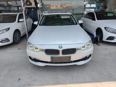 2018 BMW 3 Series 320Li Fashion Style, фото 3, лот 10457951