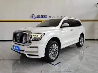 2022 Tank 500 3.0T Business Edition Zaojing 5-Seater, фото 1, лот 10679272