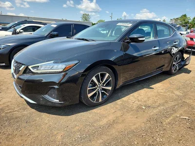 2023 NISSAN MAXIMA SV, фото 1, лот 10745978