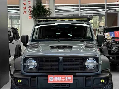 2021 Tank 300 Off-road Version 2.0T Conqueror, фото 2, лот 10632902