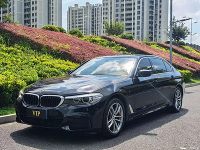 2020 BMW 5 Series 525Li M Sport Package, фото 1, лот 11557299