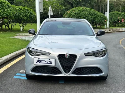 2021 Alfa Romeo Giulia 2.0T 280HP Luxury, фото 2, лот 10239863