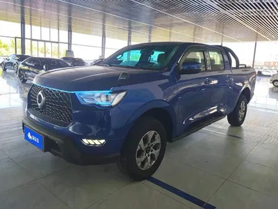 2019 Great Wall Pao 2.0T Commercial Version Manual Gasoline 2WD Elite Long Box GW4C20B, фото 1, лот 11007861
