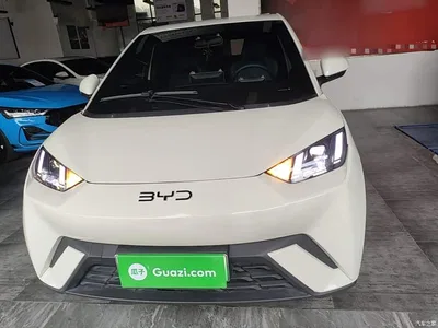 2024 BYD Seagull Glory Edition 305km Freedom Edition, фото 3, лот 10838813