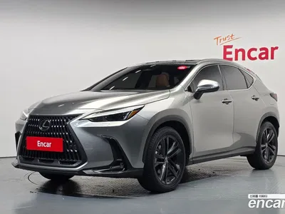 2025 Lexus NX 350h Premium, фото 1, лот 10526869