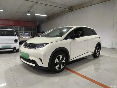 2025 BYD Dolphin 420km Freedom Edition, фото 1, лот 10258424