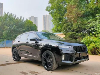 2017 WEY VV7 2.0T Flagship, фото 3, лот 10450818
