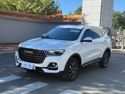 2023 Haval H6 National Trend Edition 1.5T Automatic Urban, фото 1, лот 10301497