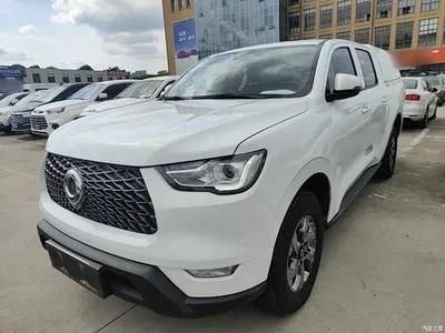 2021 Great Wall Pao 2.0T Commercial Edition Automatic Diesel 4WD Navigation Standard Box GW4D20M, фото 1, лот 10248892