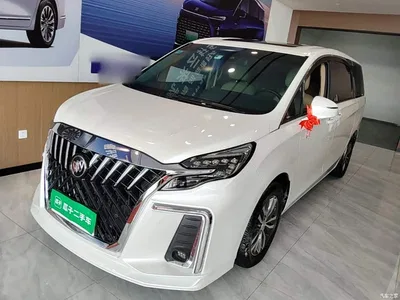 2021 Buick GL8 ES Landlord 653T Premium, фото 2, лот 11191633