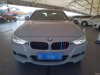 2019 BMW 3 Series 320Li M Sport Package, фото 3, лот 10457742