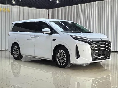 2025 BYD Xia DM-i 1.5T 180km Surpass Edition, фото 3, лот 10246860