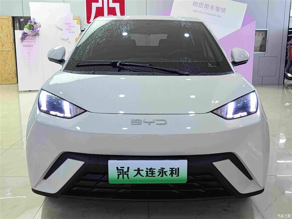 2025 BYD Seagull 305km Vitality, фото 2, лот 11223390