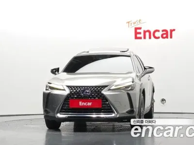 2019 Lexus UX 250h 2.0 2WD, фото 3, лот 10033144