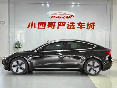 2020 Tesla Model 3 Facelift Long Range Rear-Wheel Drive, фото 4, лот 10356835
