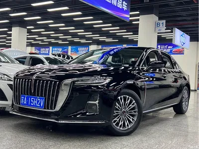 2025 Hongqi H5 1.5T DCT Flag Rhythm 500,000 Units Memorial Edition, фото 2, лот 10289130