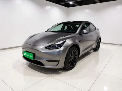 2021 Tesla Model Y Standard Range Rear-Wheel Drive, фото 1, лот 11182727