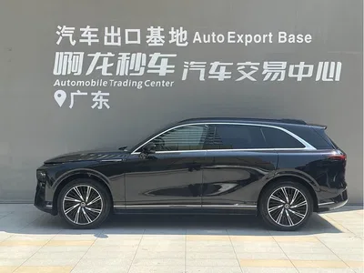 2024 XPeng G9 570 Max, фото 4, лот 10377352