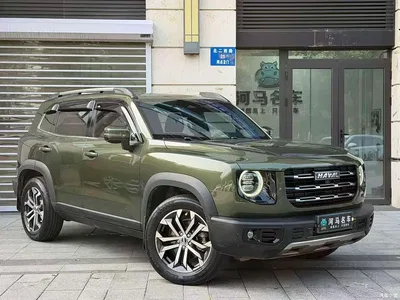 2022 Haval Big Dog 1.5T DCT FWD Border Collie Edition, фото 2, лот 11212392
