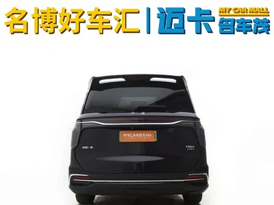 2024 Hongqi HQ9 PHEV Model 2.0T AWD Luxury Edition, фото 3, лот 10287783