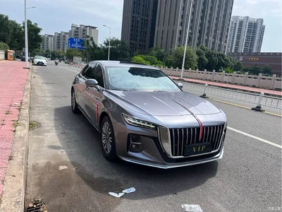 2023 Hongqi H5 1.5T DCT Smart Connect Flag Rhythm, фото 3, лот 11569108