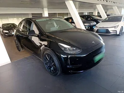 2021 Tesla Model Y Model Long Range AWD, фото 4, лот 11565720