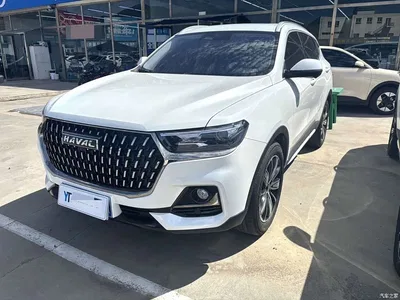 2023 Haval H6 National Trend Edition 1.5T Automatic Champion, фото 1, лот 10445650