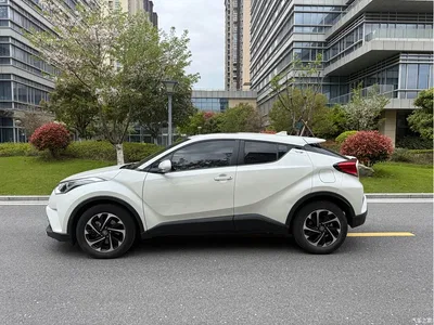 2021 Toyota IZOA 2.0L Yixing Edition, фото 4, лот 10384888