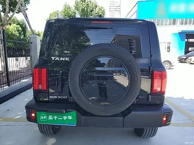 2023 Tank 300 Urban Edition 2.0T Very Stylish, фото 4, лот 10345491